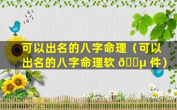 可以出名的八字命理（可以出名的八字命理软 🐵 件）